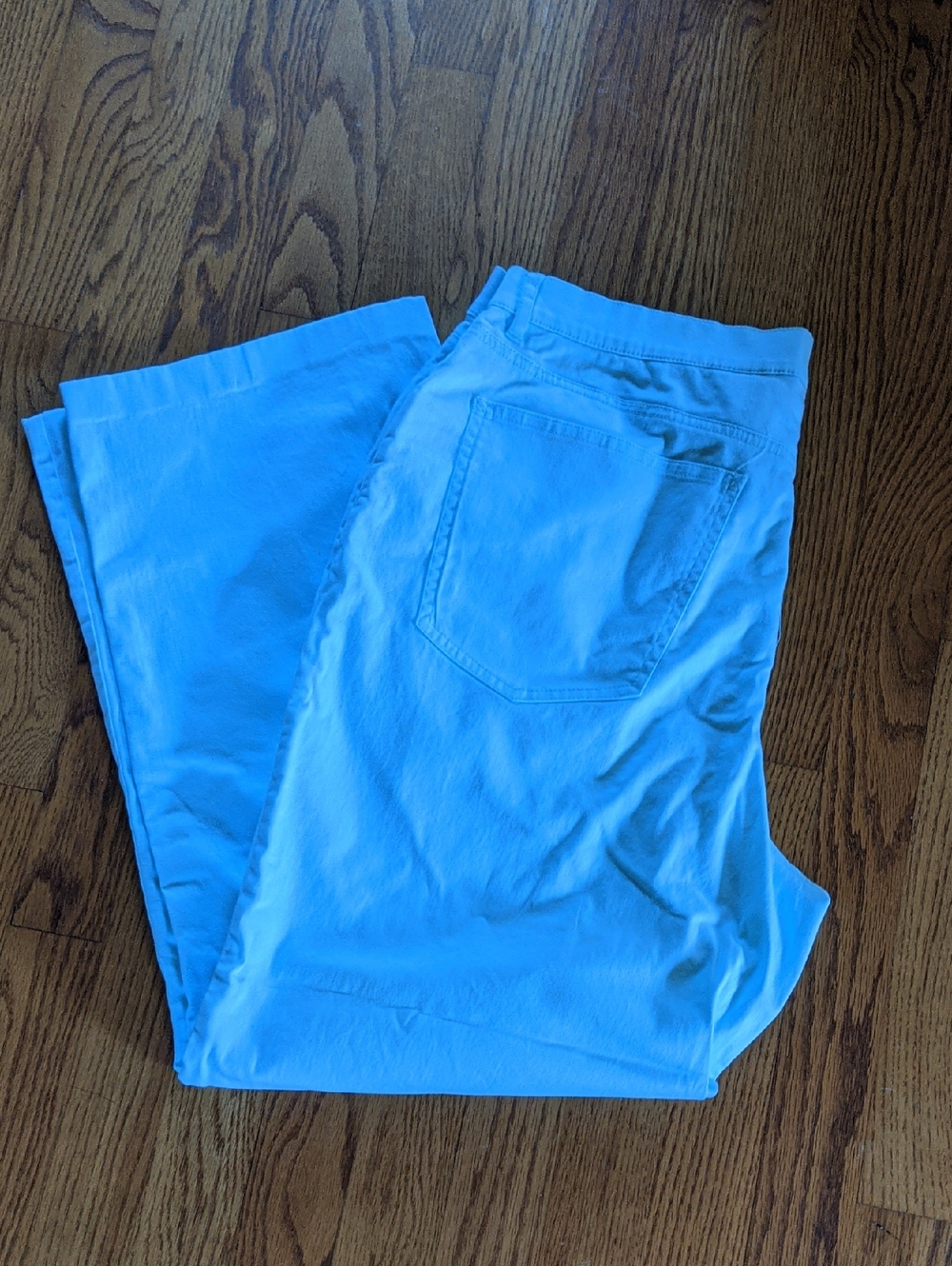 Talbots Light Blue Stretch Cotton Pants Size 16